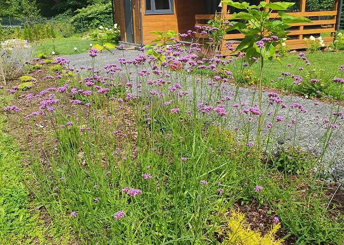 Dom Nad Wodospadem * Kletno